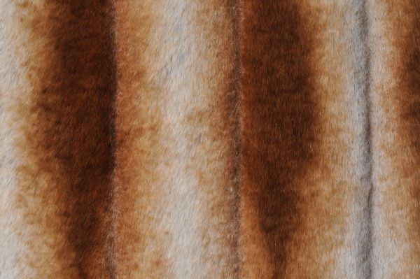 Sheared Chinchilla Gold/Beige